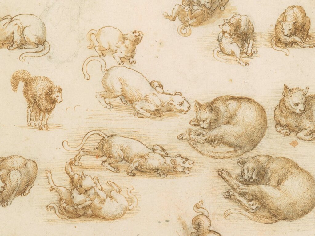 Leonardo da Vinci's sketches